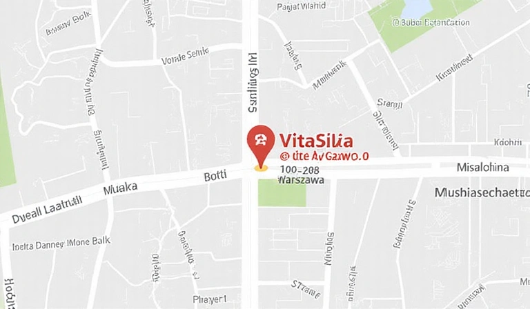 Mapa lokalizacji Vitasila